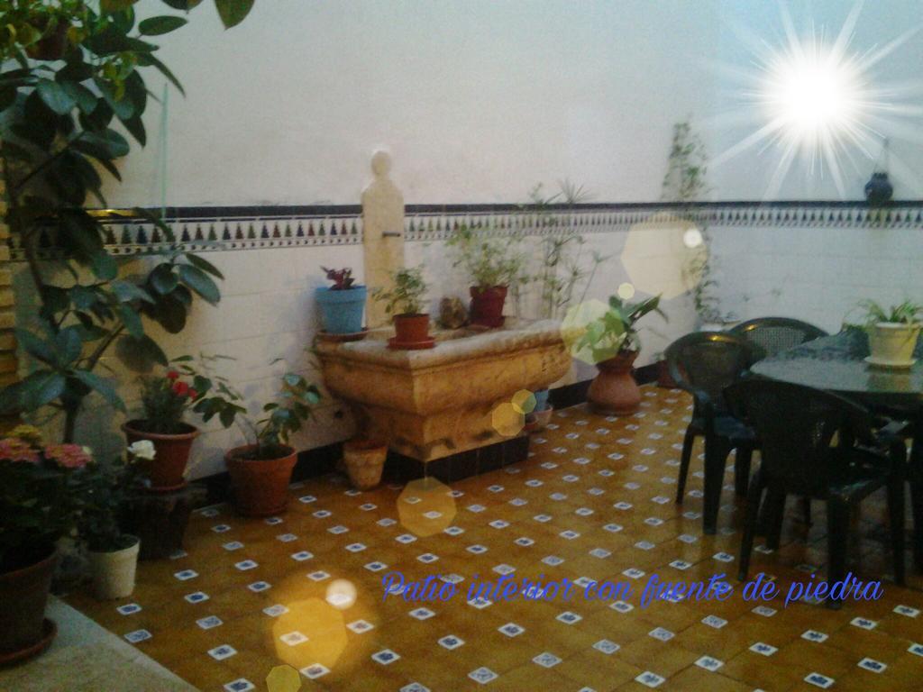Casa Camino Al Castillo Ксатива Экстерьер фото